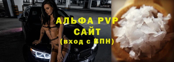 PSILOCYBIN Белокуриха