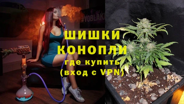 PSILOCYBIN Белокуриха