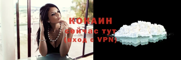 PSILOCYBIN Белокуриха
