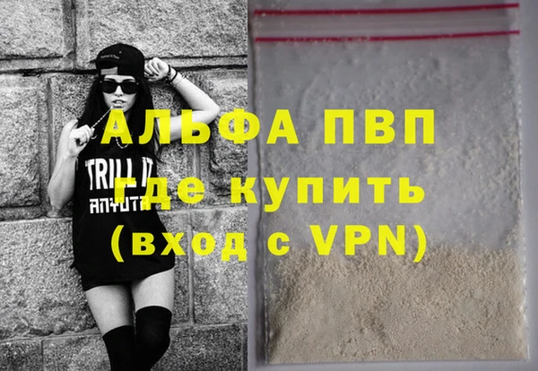 PSILOCYBIN Белокуриха