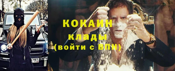 PSILOCYBIN Белокуриха