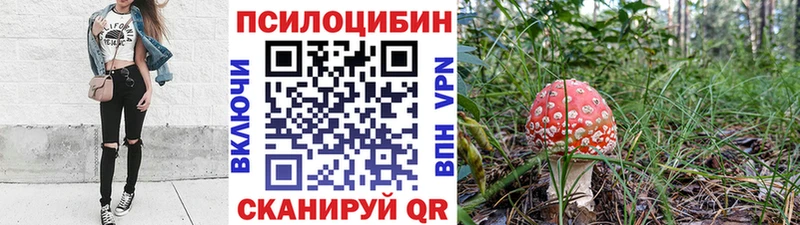 Купить закладки  Магадан  Псилоцибиновые грибы мицелий 